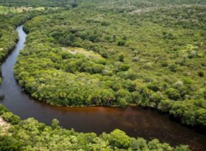 Leia mais sobre o artigo Bahia cria mais sete RPPNs e dobra área de reserva particular no estado